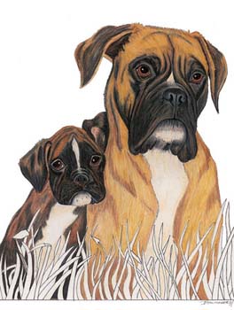 Boxer mit Welpen