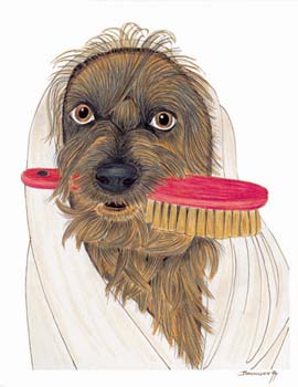 Hund mit Bürste