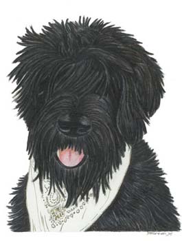 Hund mit Halstuch