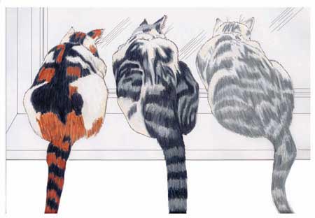 3 Katzen am Fenster