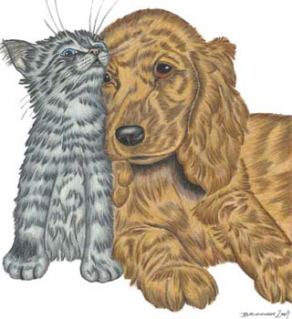 Katze mit Spaniel